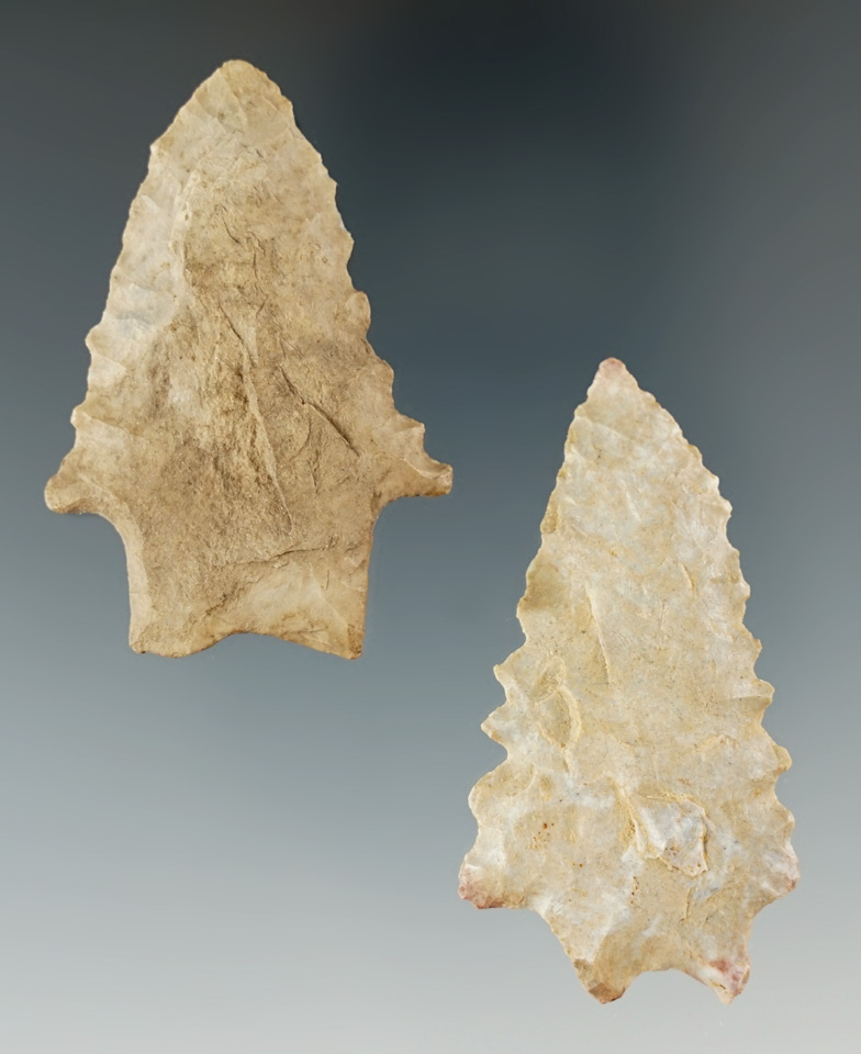 Pair of serrated transitional Paleo points found in Boyle County Kentucky.