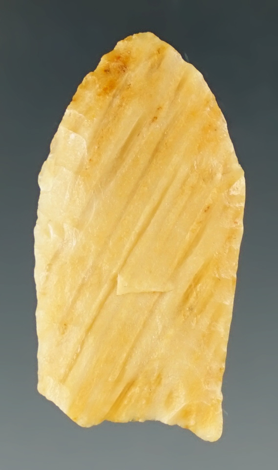 1 3/16" Folsom made from Petrified Palmwood, found near Smith Point, Texas.  COA.