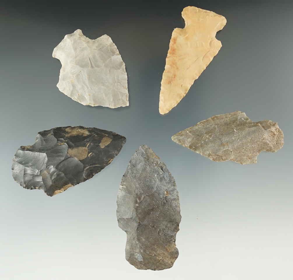 Group of five assorted points found in Humphreys County Tennessee, largest is 2 3/8".