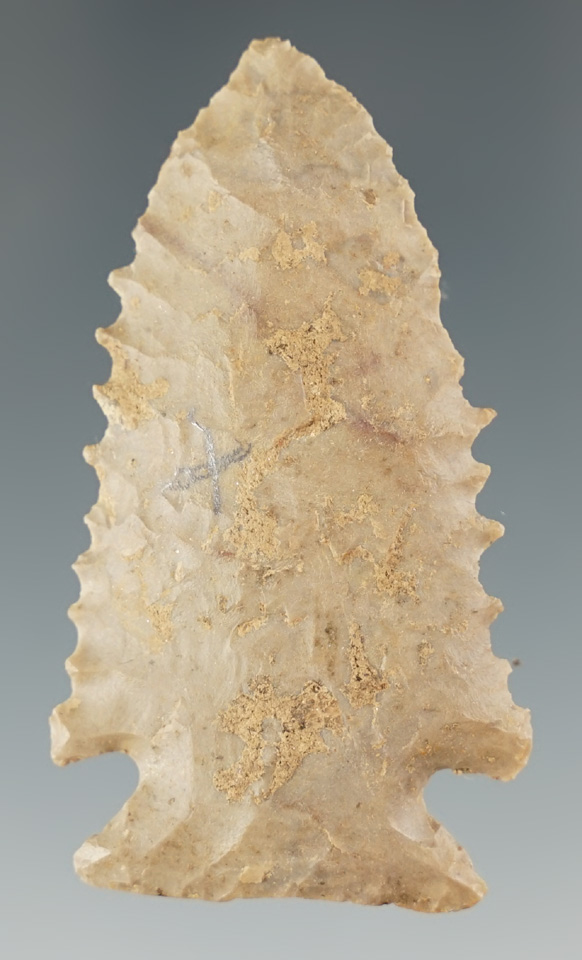 Excellent serrations on this 2 3/16" nicely made Pine Tree found in Henderson Co. KY.