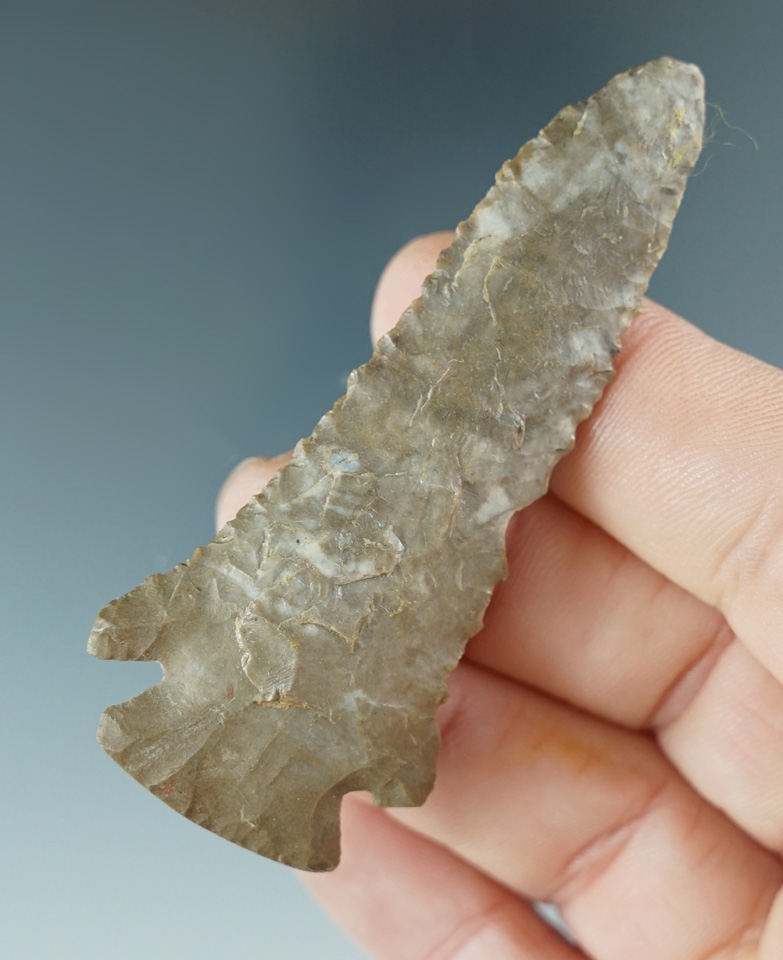 2 3/4" Pine Tree point made from Fort Payne chert found in Fayette County Kentucky.