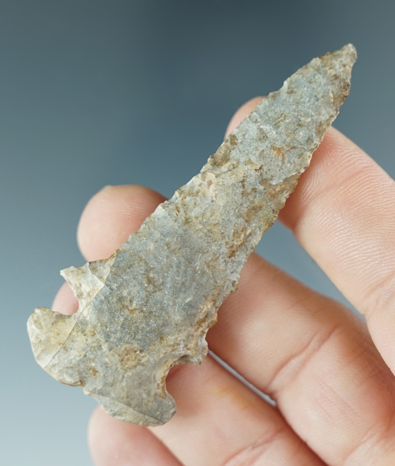 2 5/8" notch based Dovetail found in Henderson County Kentucky.