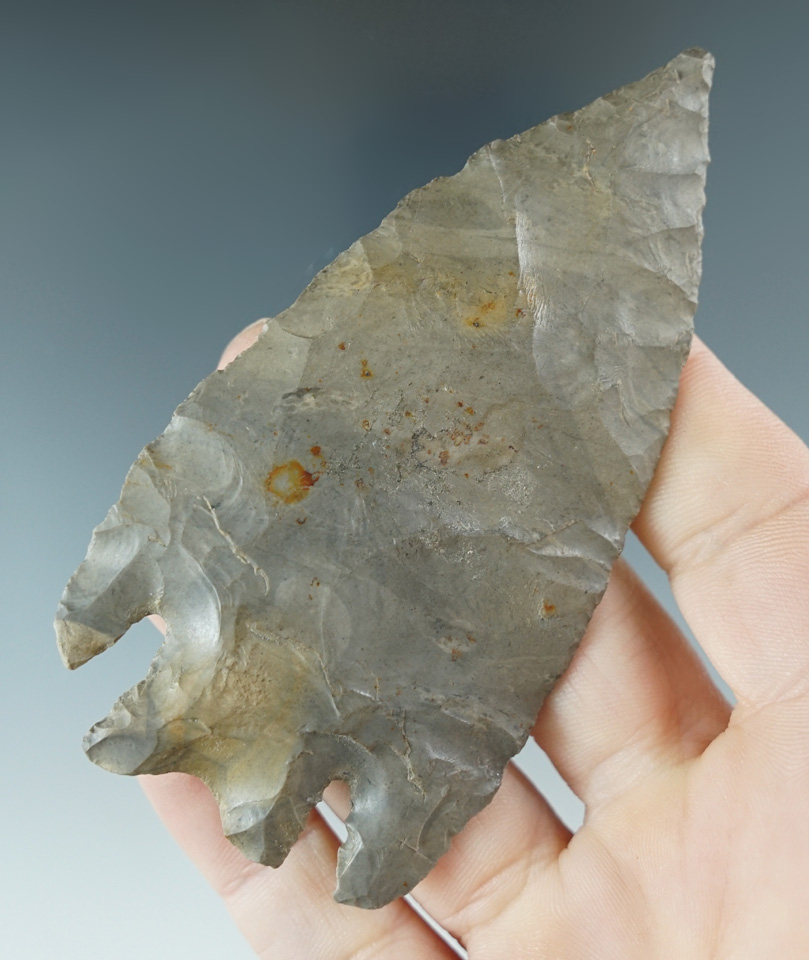 3 5/8" Marshall Point formed from gray Flint, found in Texas. Davis Grade 9 COA.