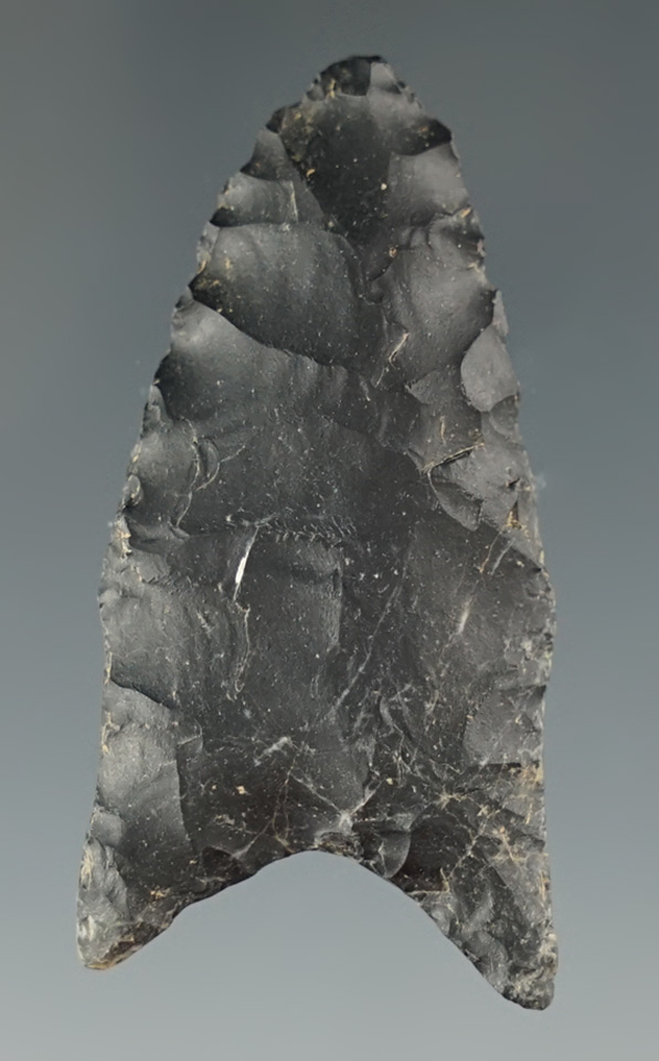 1 3/4" Dalton found in Limestone Co., Texas. Comes with a Rogers COA.