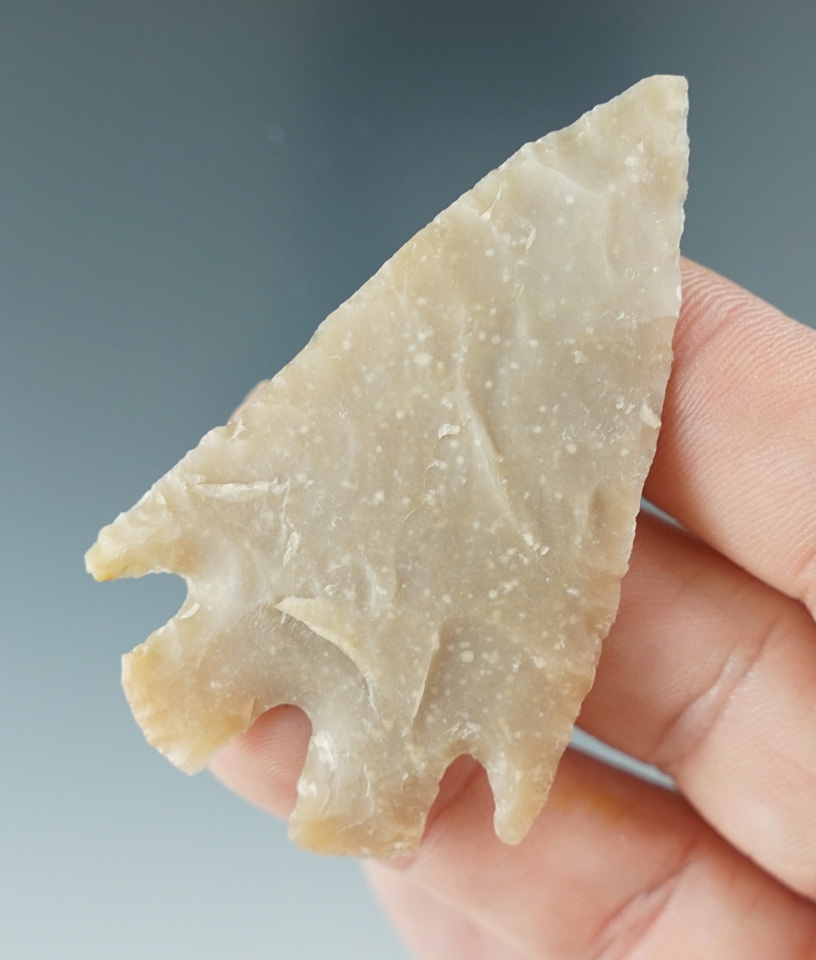 Nicely styled 2 7/16" Montell made from high quality material found in Texas.