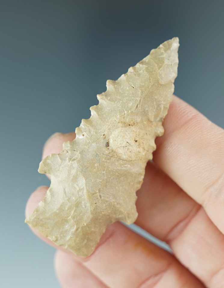 2 5/16" Kirk serrated found in Mercer County Kentucky. Ex. Henry English collection.