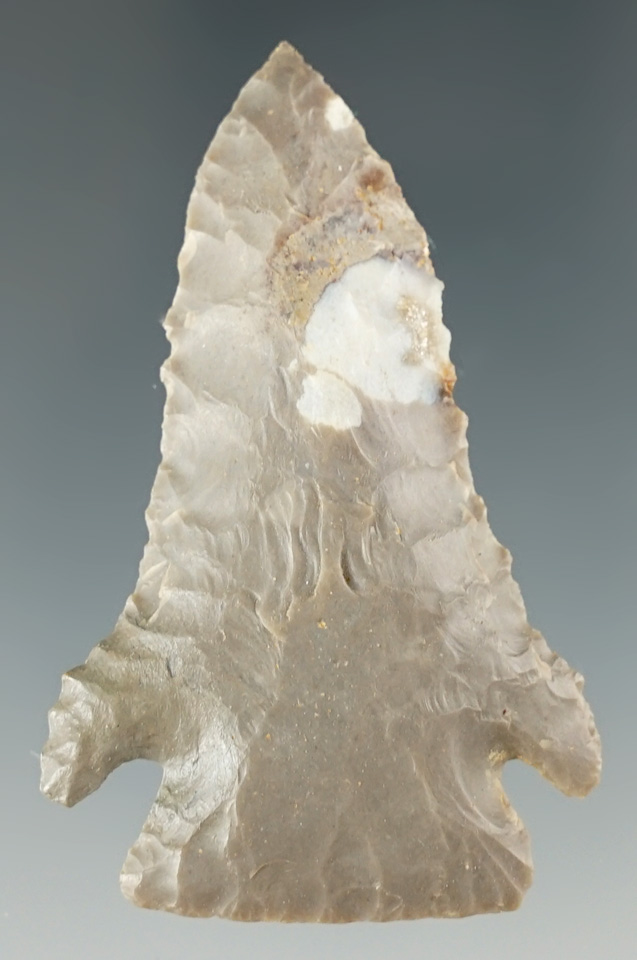 2 1/4" Pine Tree point with restoration to one ear made from hornstone. Kentucky.