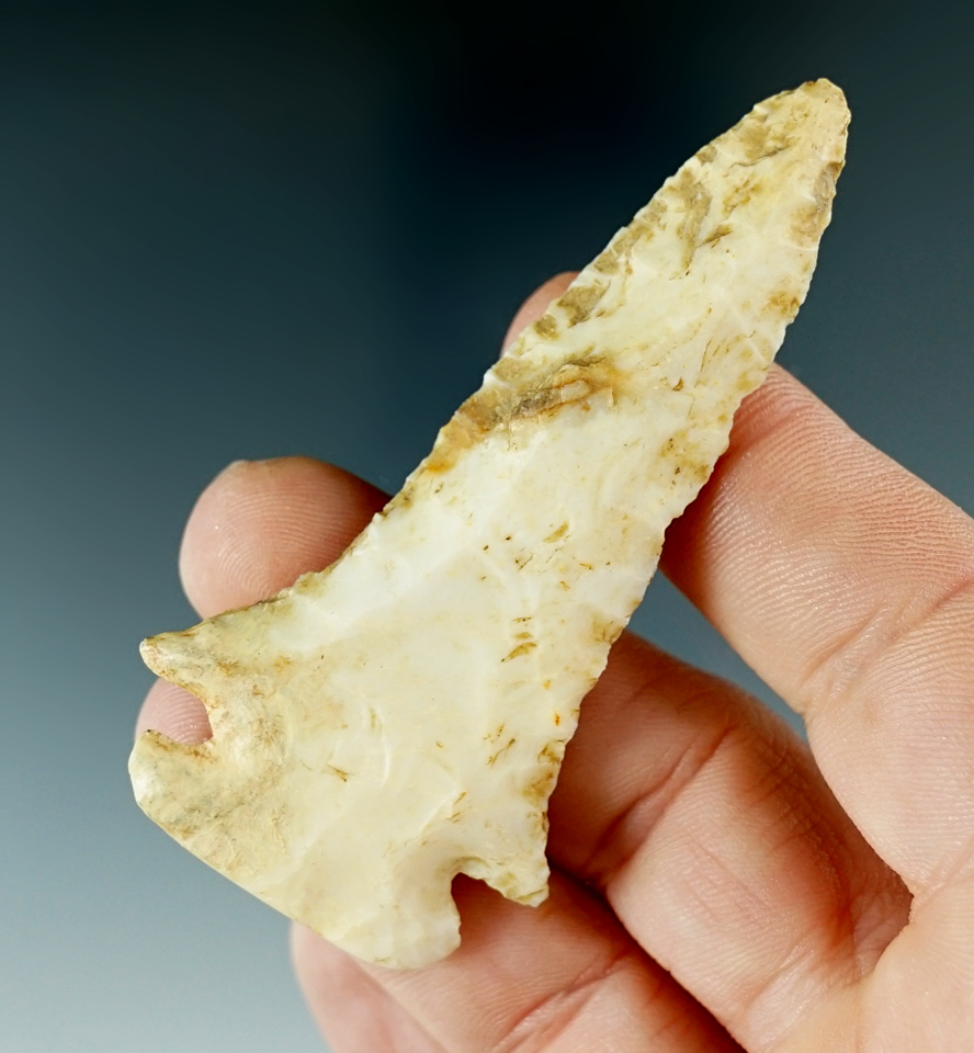 2 7/8" Dovetail - Lincoln County Tennessee with restoration to one basal corner & ear.