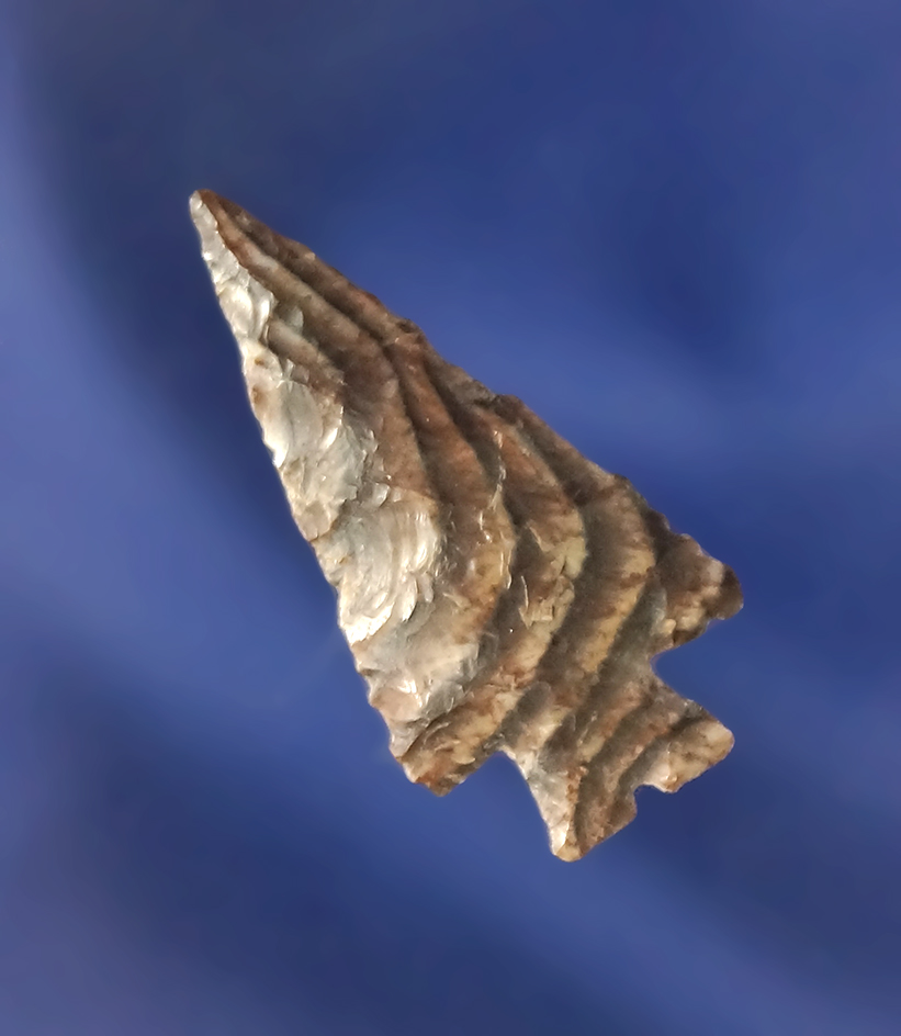 Exceptional striped material 1 1/16" Rose Springs Split Stem  found  by Norma Berg.