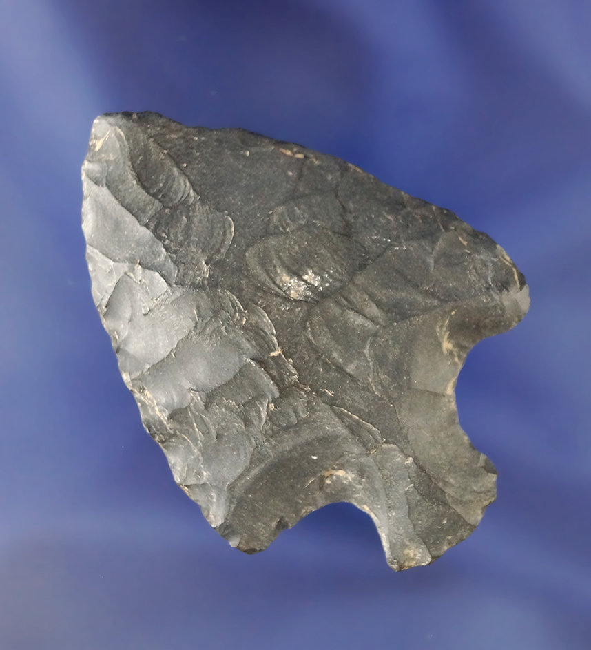 2 3/8" Coshocton Flint Tablerock point found in Ohio.