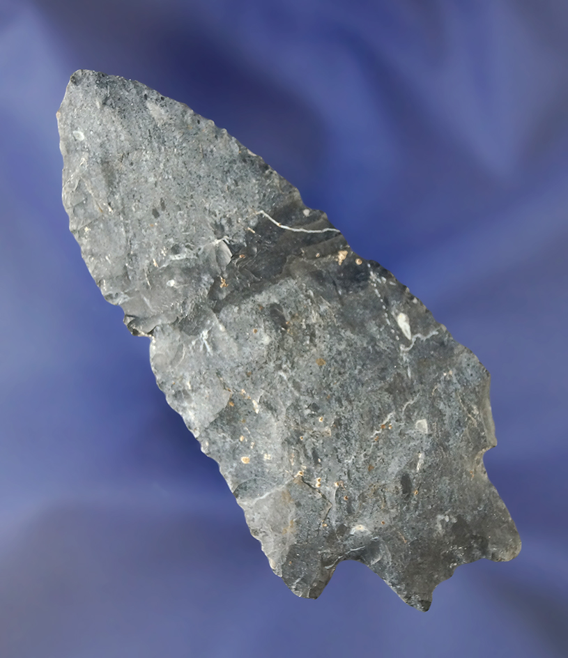 Rare style! Large for type, 3 9/16" Coshocton Flint Transitional Paleo found in Ohio.