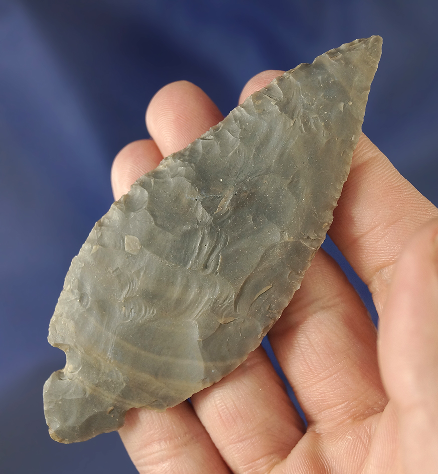 3 3/4" Hornstone Turkeytail found in Todd Co.,  Kentucky.