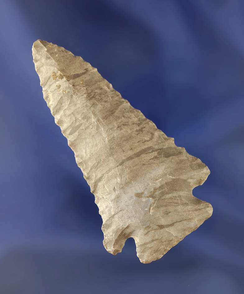 2 1/2" Dover Flint Pinetree point found in Kentucky.