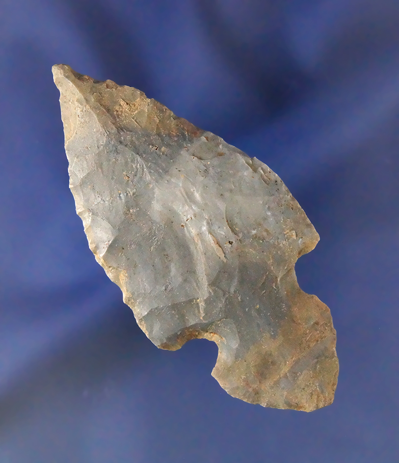 2 11/16" classic styled Hornstone Turkeytail found in Kentucky.