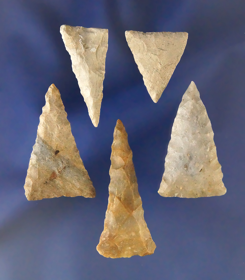 Set of five nice Triangle points, largest is 1 5/8" found in Ohio.