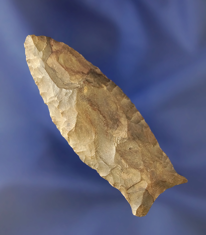 2 3/4" Paleo Beaver Lake made from Buffalo River chert found in Lyon Co.,  KY.  Dickey COA.