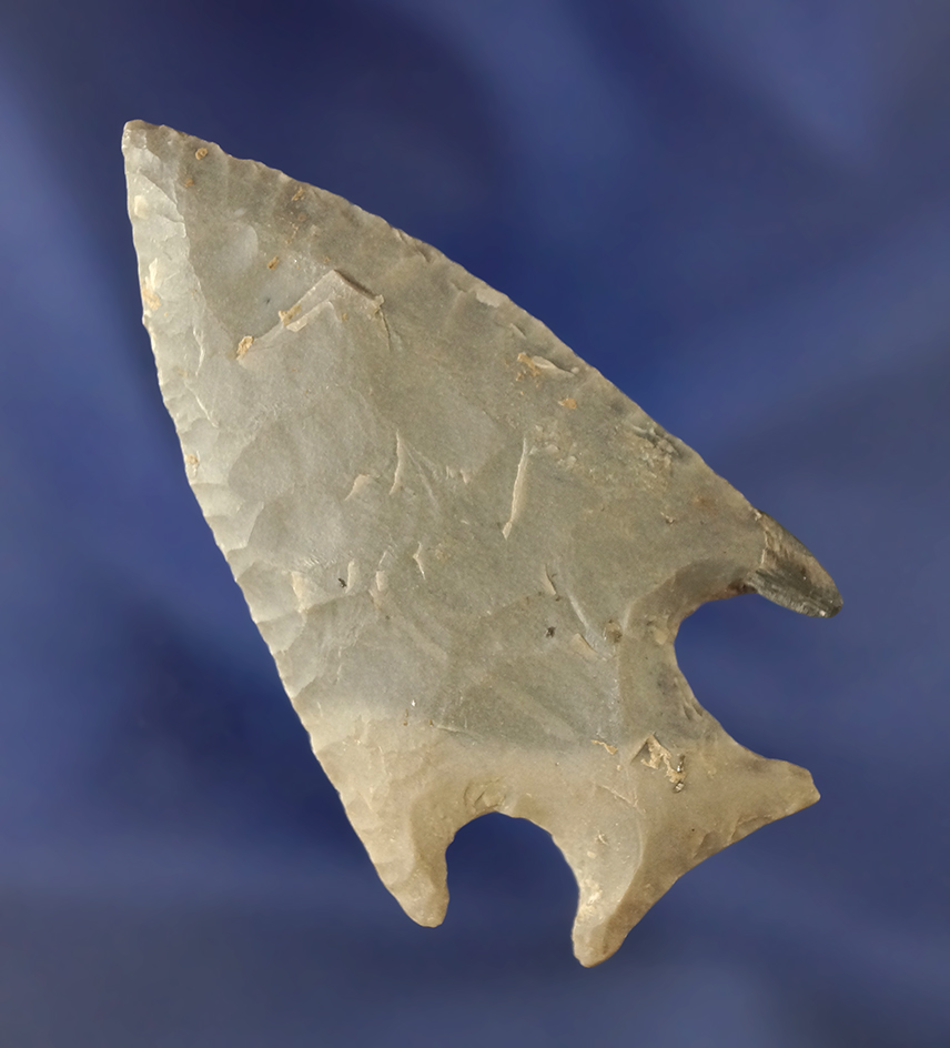 2 9/16" well flaked Motley made from Hornstone with one restored ear found in Trigg Co.,  KY.