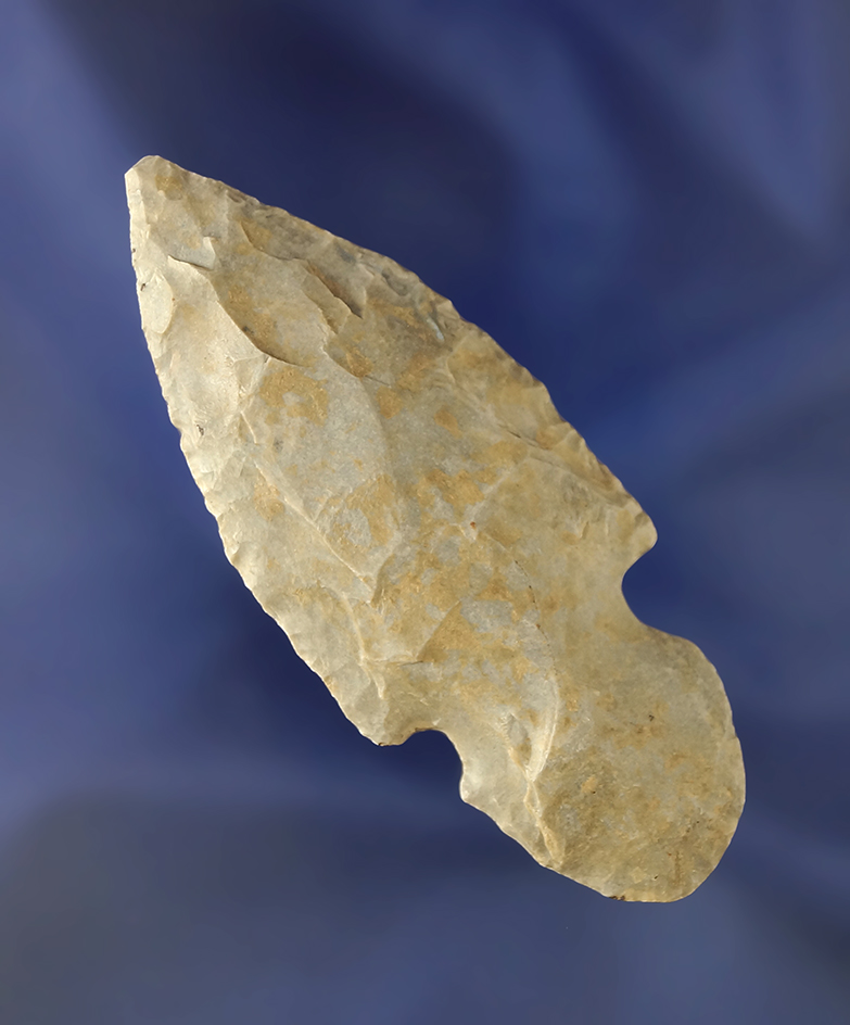 3" Turkeytail that is nicely styled found in Kentucky in good condition.