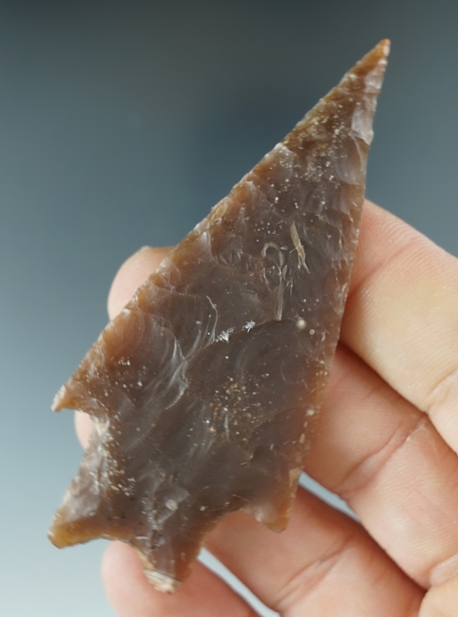 3" Pedernales found in Bandera Co., Texas. Comes with a Rogers COA.