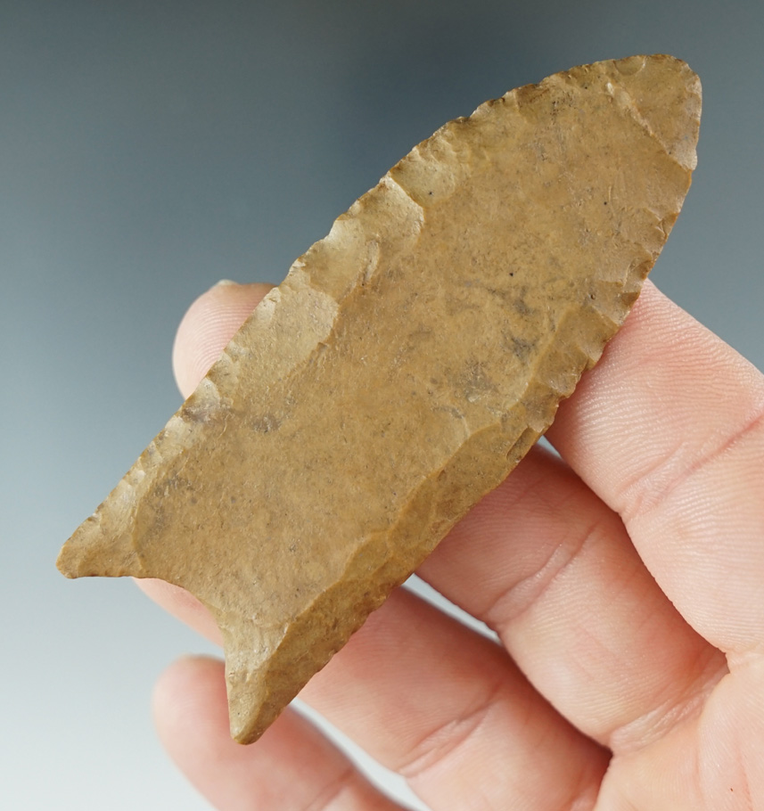 2 7/8" Paleo Fluted Clovis made from Carter Cave Flint, found in Fleming Co., Kentucky. COA's.