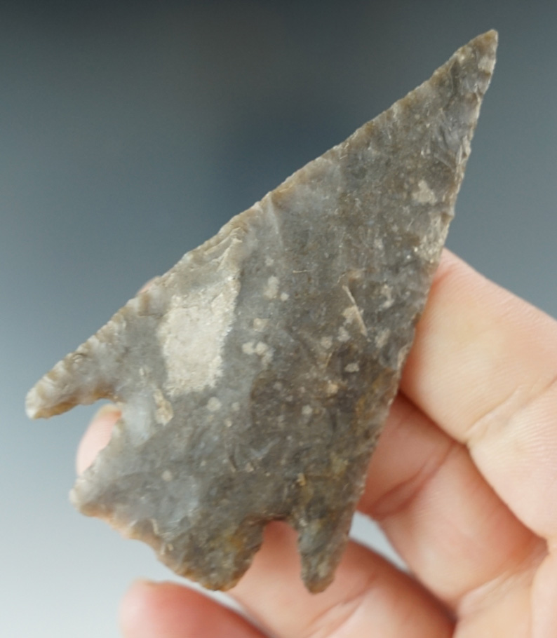 3" Castroville made from Edwards Plateau Chert, found in Texas. Comes with a Bennett COA.