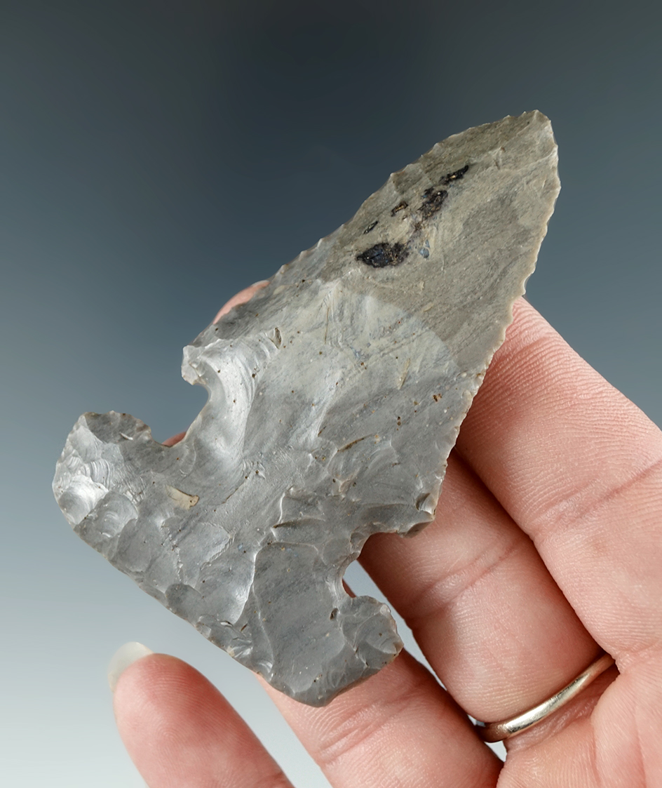 2 3/4" Classic style E-notch Thebes Bevel made from Hornstone found in White Co., Illinois