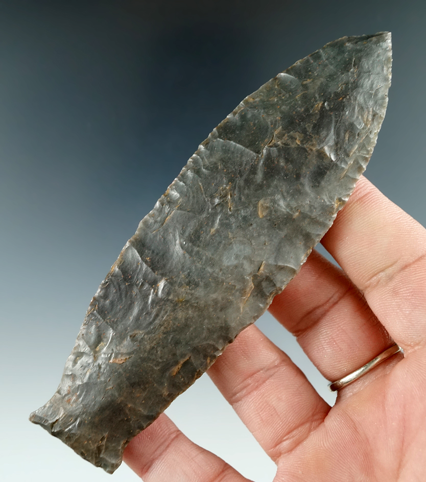 Large and nice! 4 1/2" Paleo Beaver Lake found in Kentucky. Comes with Perino and Davis G-9 COA.