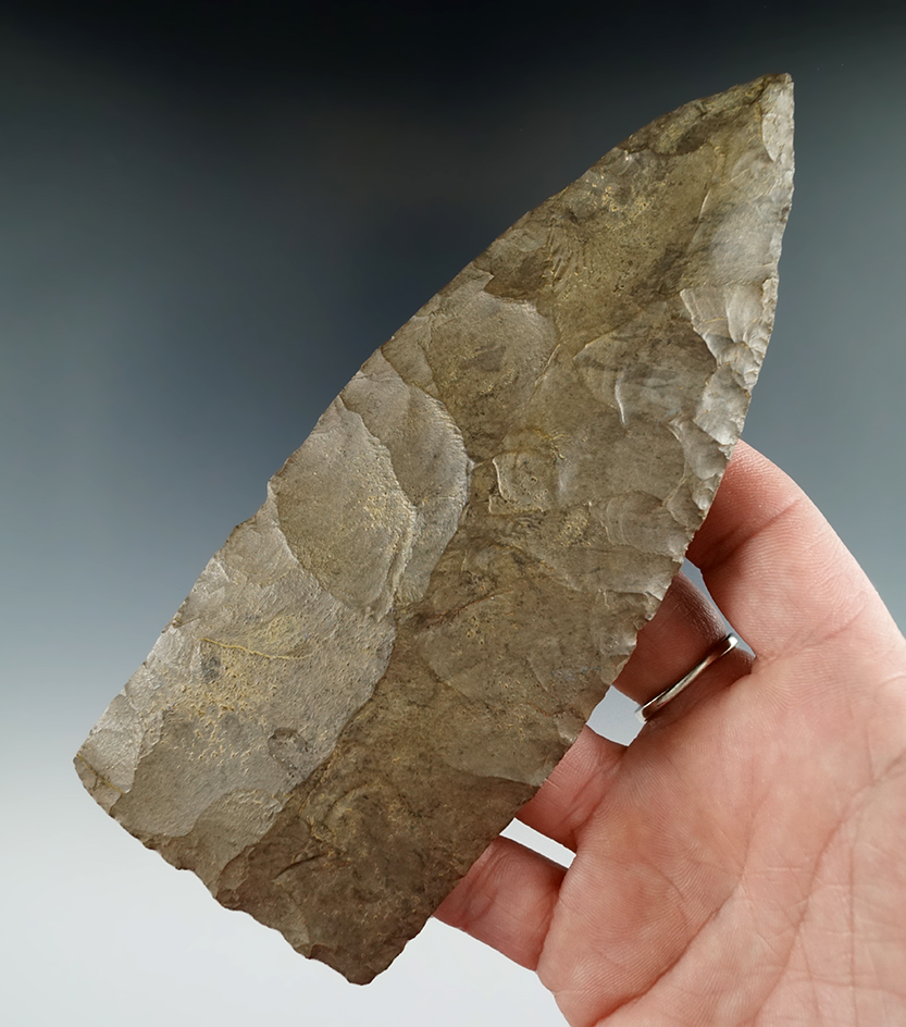 Large 5 11/16" Wadlow Blade found in Kentucky. Ex. Tom Davis.