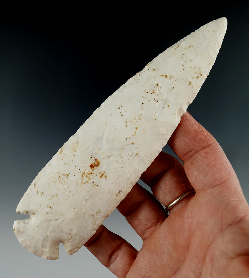 5 11/16" Burlington Chert Dovetail found in Missouri. Comes with a Bennett COA.