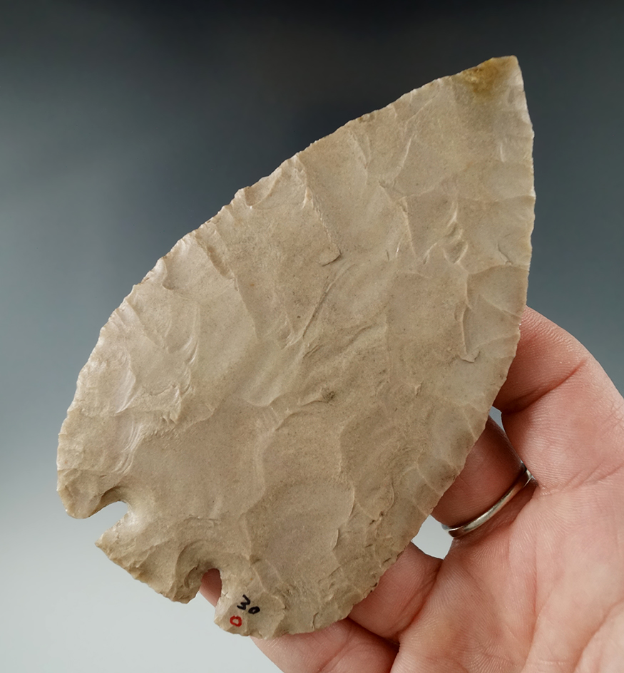 4 5/16" Thin and very well flaked Base Tang Knife found in Gillespie Co., Texas. Ex. Ted Nemic. COA.