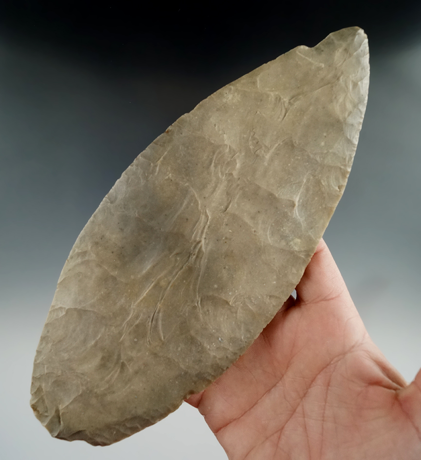 Large and nice! Exceptionally thin 8" Red Ocher Blade - Harrison Co., Indiana. COA.