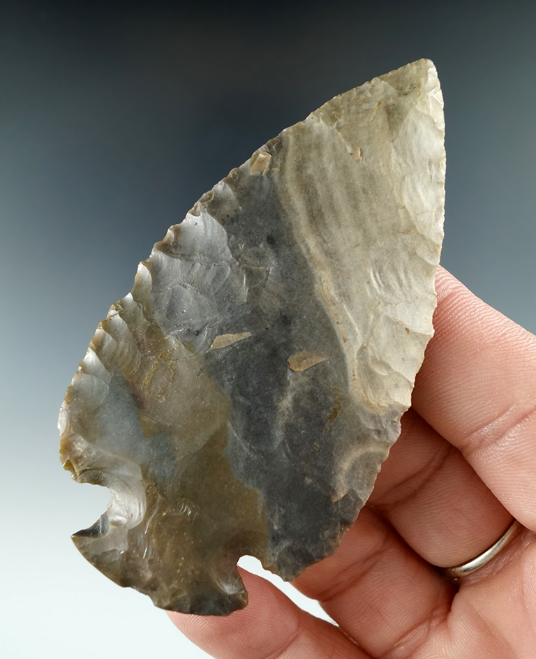 3 3/16" Dovetail - Hornstone found in northern Illinois. Very nice banding in material. 2 COAs.