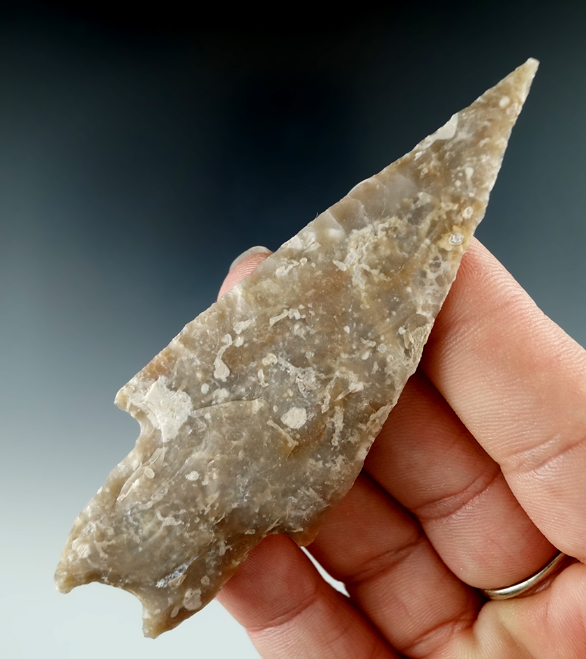3 1/2" Pedernales - needle tip found in Central Texas. Ex. Jerry Spurgeon collection. Rogers COA.