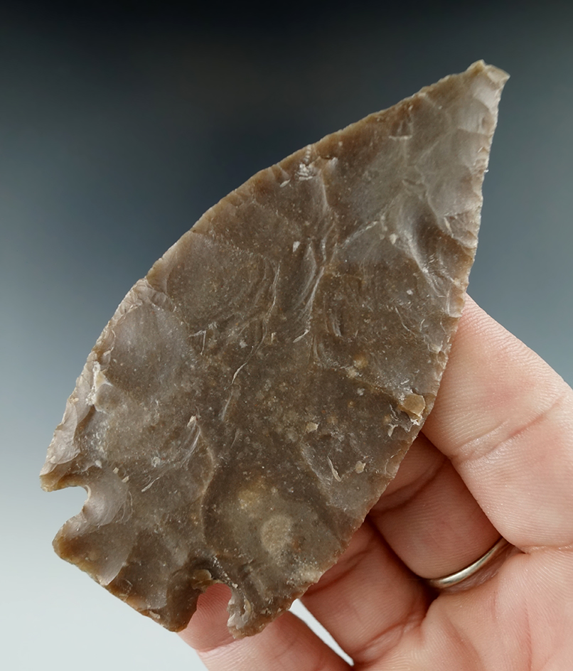 Thin and well flaked 3 3/8" Marshall found in Bandera Co., Texas. Ex. Shawn Ballard.  Rogers COA.