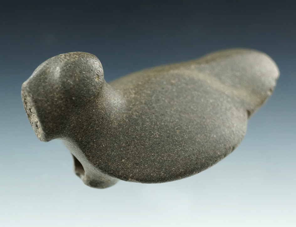 2 7/8" Pop-Eyed Birdstone found in Grant or Miami Co., Indiana made from hardstone. Ex. Drook.