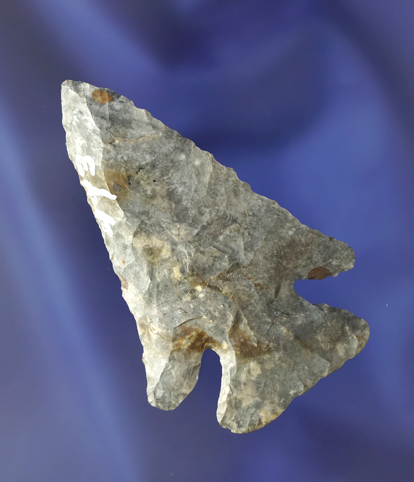 2 5/8" Coshocton Flint Archaic Thebes Bevel found in Ohio.