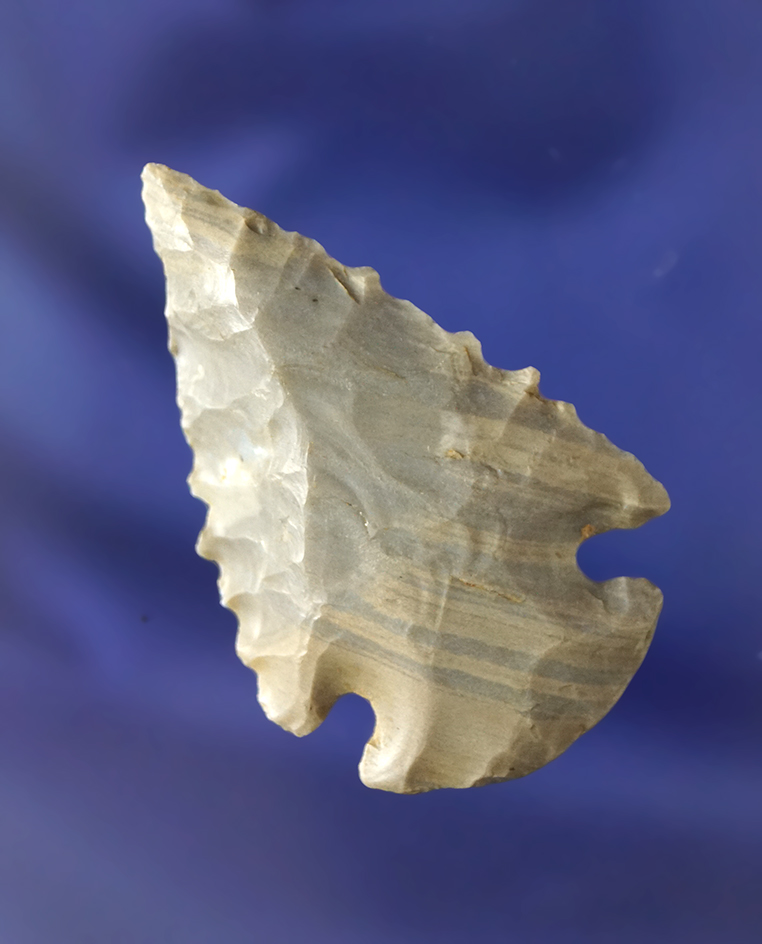 1 15/16" miniature Dovetail made from beautifully banded material found in Kentucky.