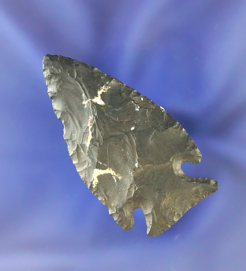 Paper thin! 2" Coshocton Flint Jack's Reef Intrusive Mound point found in Ohio. Davis COA.
