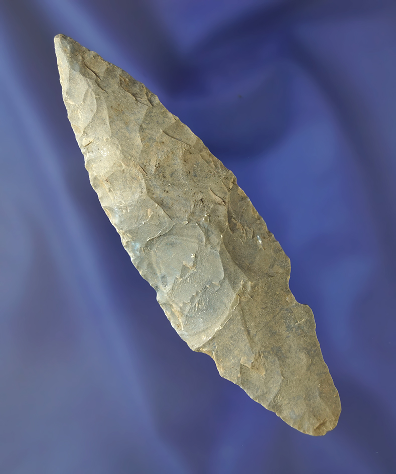 4 and 1/8" Hornstone Turkeytail found in Kentucky. Ex. Jerry Dickey.