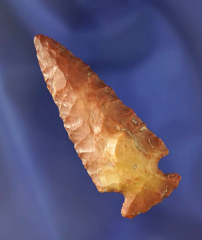 beautiful red and yellow colored 2 1/2" Flint Ridge Archaic Side Notch found in Ohio.