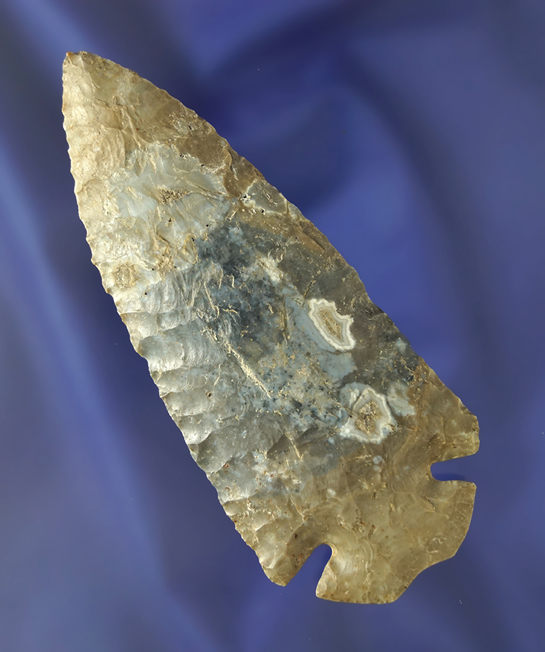 4 1/8" Multi-Colored Hornstone Hip-Roof style Dovetail found in Miami Co., Ohio.