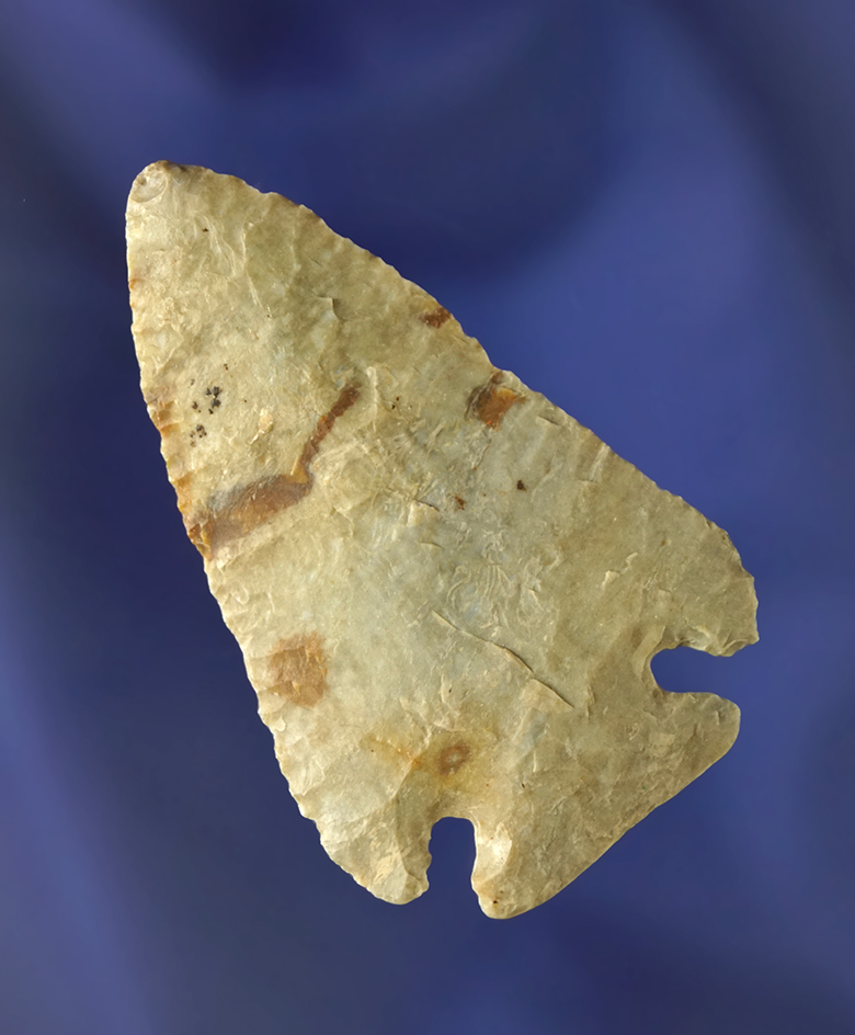 Then and exceptionally well flaked 2 3/16" Pine Tree - Clinton, Ohio. Jackson COA.