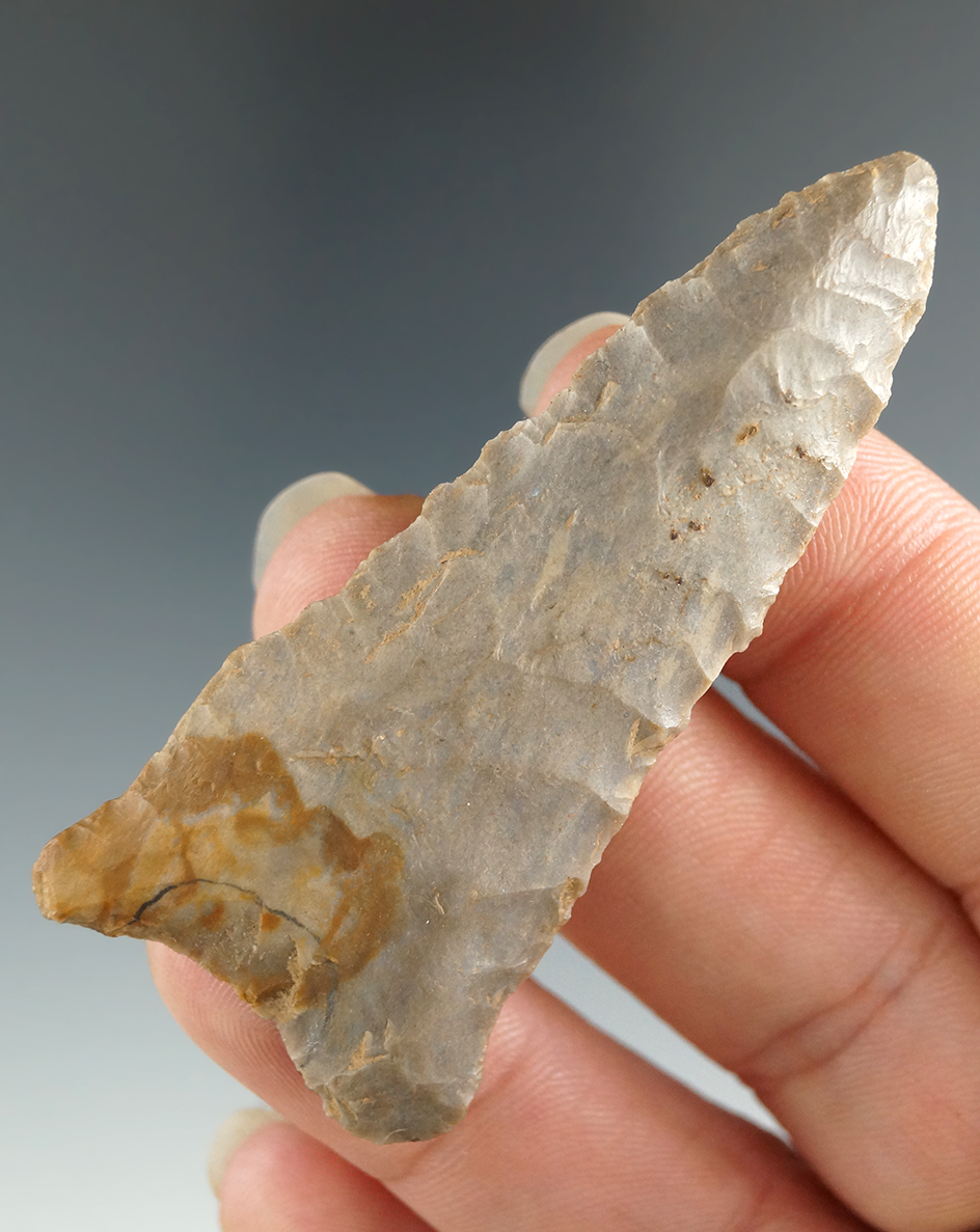 2 1/2" Kentucky Style Dalton made from Hornstone. Vietzen Museum Collection. Jackson COA.