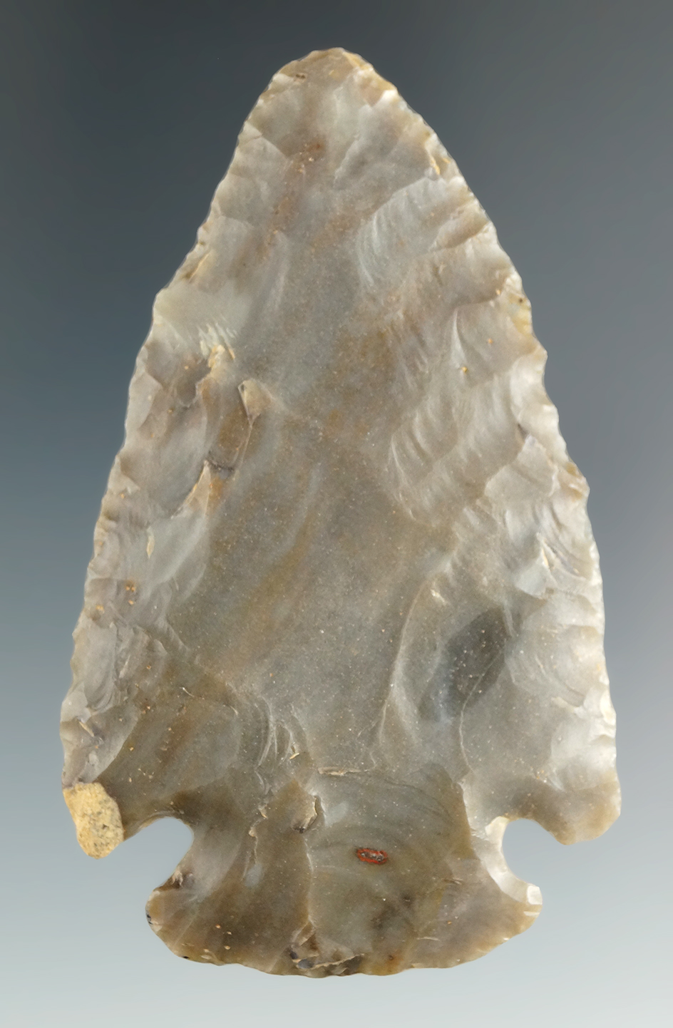 Very nice 2 3/4" Sonora Dovetail found in Hart Co., Kentucky.  Jackson COA.