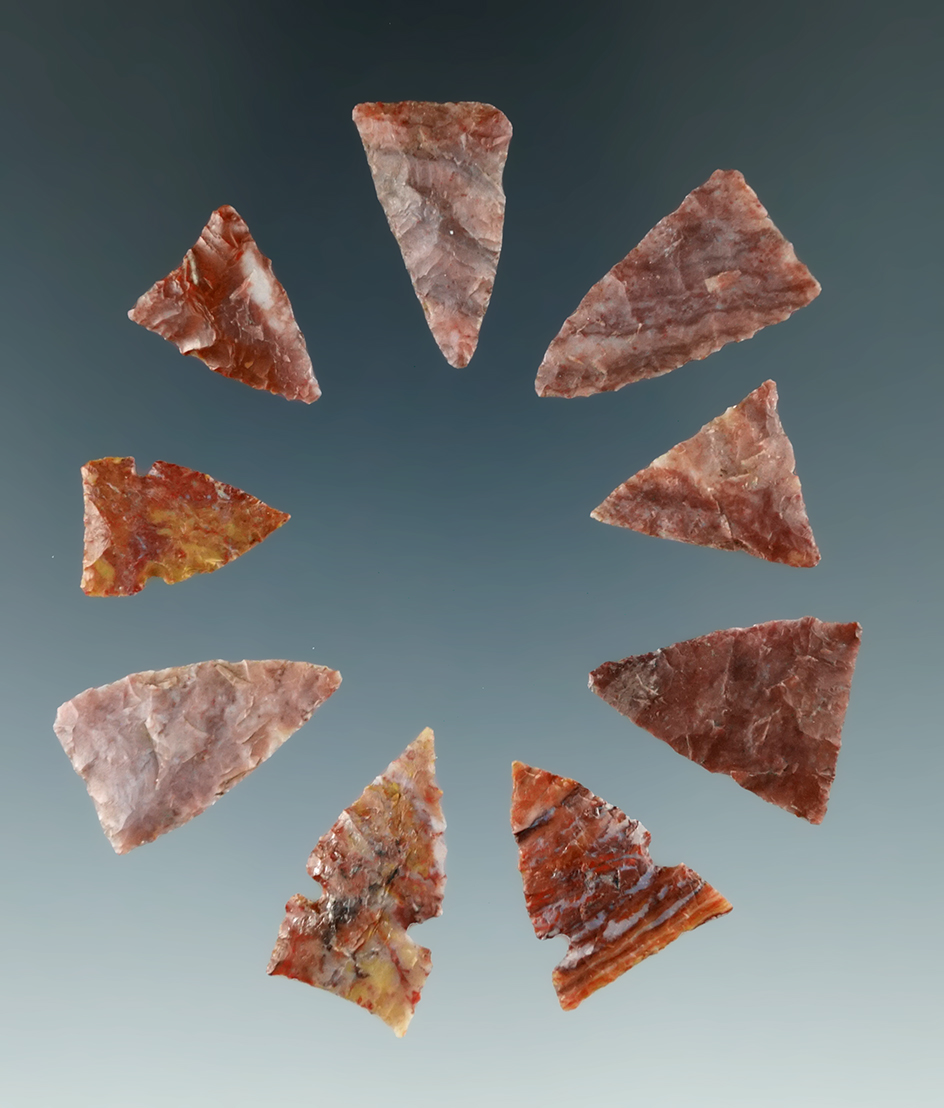 Set of nine arrowheads found in Texas made from attractive materials, largest is 3/4".