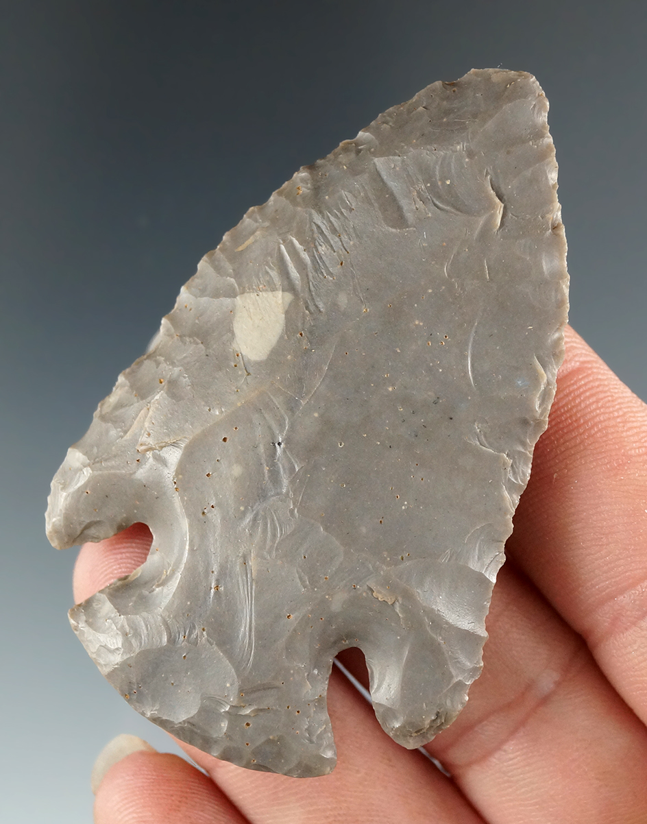 Very fine 2 3/8" Lost Lake made from nicely patinated Hornstone, Fincker Co., Tennessee. COA.