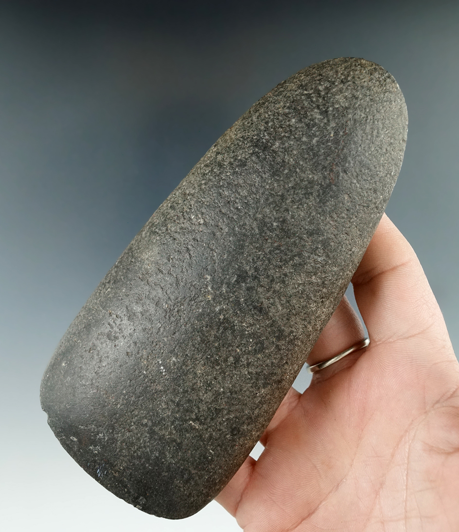 5 5/16" hardstone Adze with nice polished to the bit area found in Ohio.