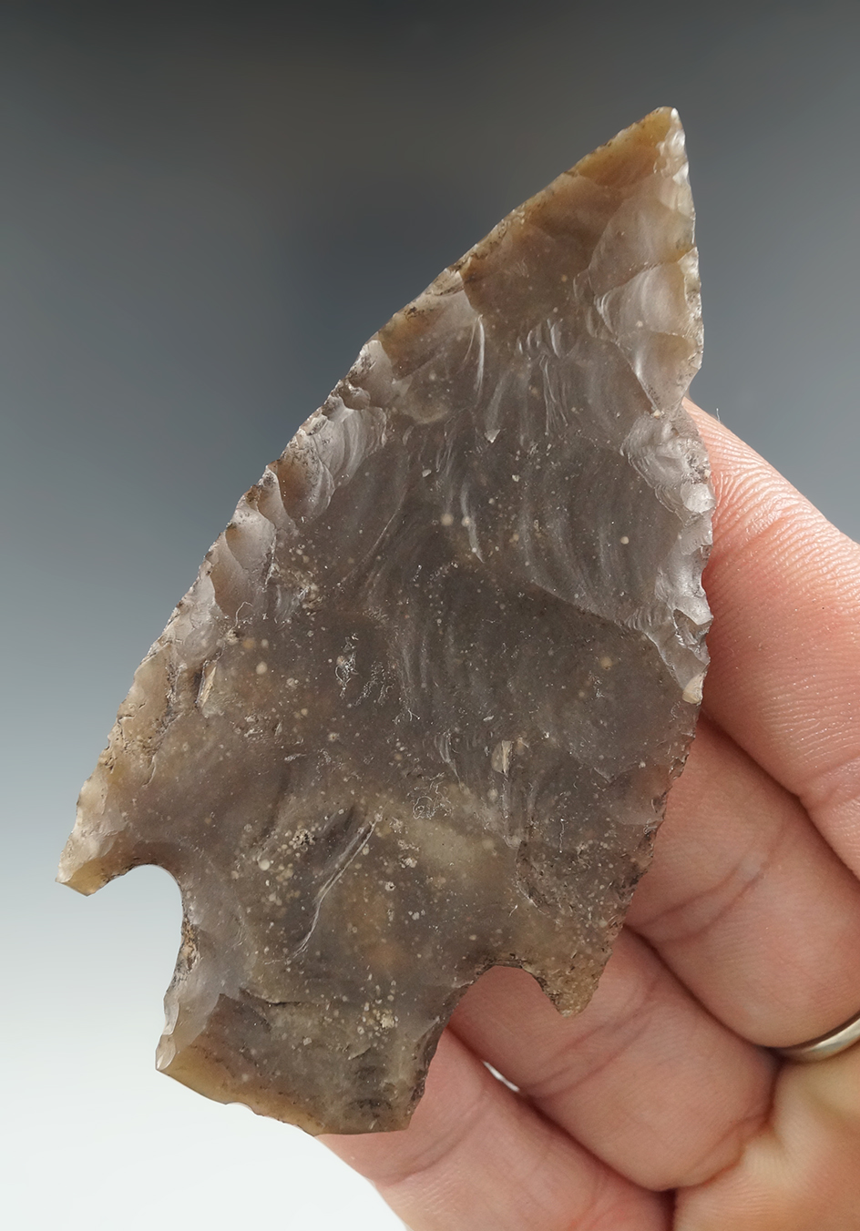 3 1/8" Bulverde made from Edwards "Rootbeer" Chert, found in Central Texas.  Rogers COA.