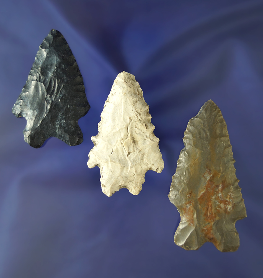 3 Bifurcated Base Points found in Huron Co., Ohio.  Ex. Sauer.