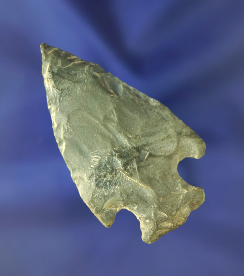 2 1/2" Hopewell Point found at Cole Nursery in Painesville Ohio.  Ex. Hovan.